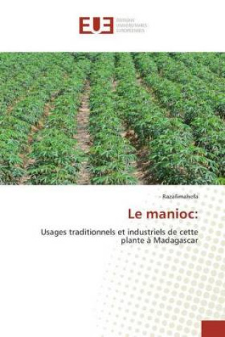 Le manioc: