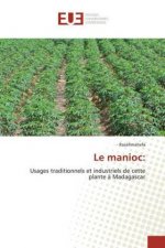Le manioc: