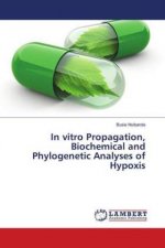 In vitro Propagation, Biochemical and Phylogenetic Analyses of Hypoxis