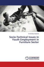 Socio-Technical Issues in Youth Employment in Furniture Sector