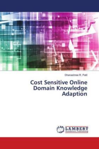 Cost Sensitive Online Domain Knowledge Adaption