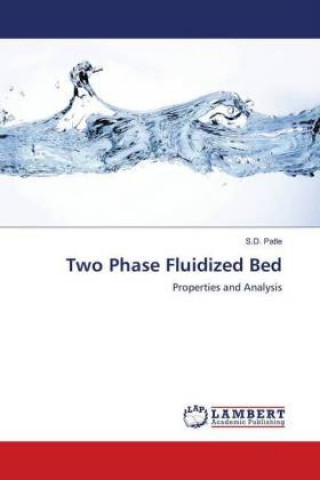 Two Phase Fluidized Bed