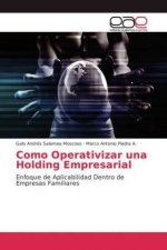 Como Operativizar una Holding Empresarial