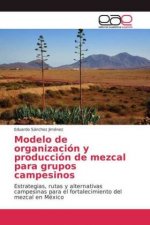 Modelo de organizacion y produccion de mezcal para grupos campesinos