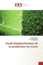 Etude biogéochimique de la production du cuivre