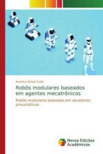Robos modulares baseados em agentes mecatronicos