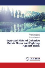 Expected Risks of Cohesive Debris Flows and Fighting Against Them