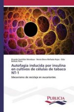 Autofagia inducida por insulina en cultivos de celulas de tabaco NT-1