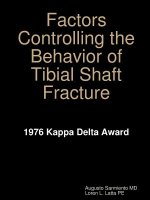 Factors Controlling the Behavior of Tibial Shaft Fracture