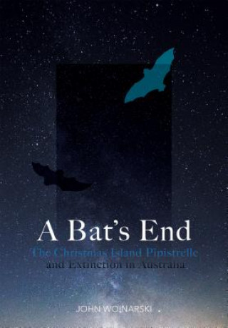 Bat's End