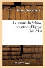 sourire du Sphinx, sensations d'Egypte