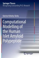Computational Modelling of the Human Islet Amyloid Polypeptide