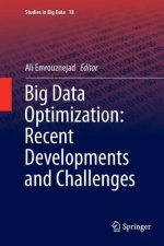 Big Data Optimization: Recent Developments and Challenges