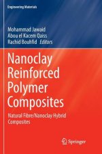 Nanoclay Reinforced Polymer Composites