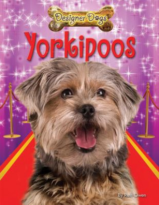 Yorkipoos