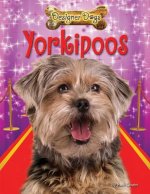 Yorkipoos