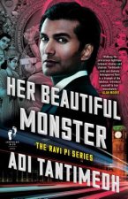 Her Beautiful Monster: The Ravi Pi Series
