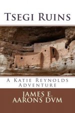 Tsegi Ruins: A Katie Reynolds Adventure