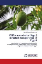 Kilifia acuminata (Sign.) infested mango trees in Egypt