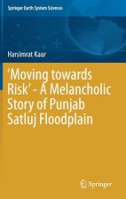 'Moving towards Risk' - A Melancholic Story of Punjab Satluj Floodplain
