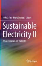 Sustainable Electricity II