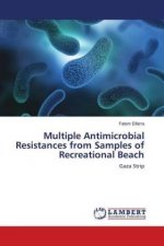 Multiple Antimicrobial Resistances from Samples of Recreational Beach