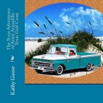 The Texas Adventures of Arnie Armadillo - Texas Gulf Coast