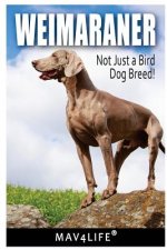 Weimaraner: Not Just a Bird Dog Breed!