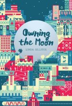 Owning the Moon: Poetry