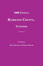 1880 Census: Hamilton County, Tennessee