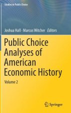 Public Choice Analyses of American Economic History