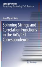 Spinning Strings and Correlation Functions in the AdS/CFT Correspondence