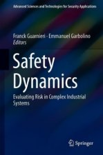 Safety Dynamics