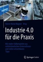 Industrie 4.0 fur die Praxis