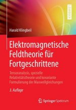 Elektromagnetische Feldtheorie Fur Fortgeschrittene
