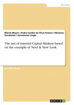 The use of internal Capital Markets based on the example of Next & New Look