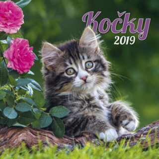 Kočky 2019 - nástěnný kalendář