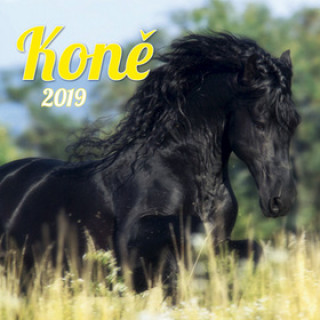 Koně 2019 - nástěnný kalendář