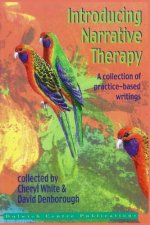 Introducing Narrative Therapy: A collection of practice-based writing