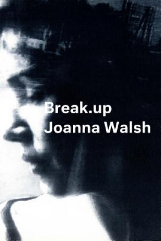 Break.up - A Novel in Essays