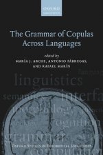 Grammar of Copulas Across Languages