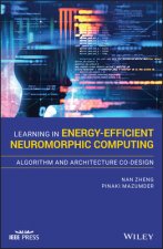 Learning in Energy-Efficient Neuromorphic Computing - Algorithm and Architecture Co-Design