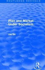 Plan and Market Under Socialism