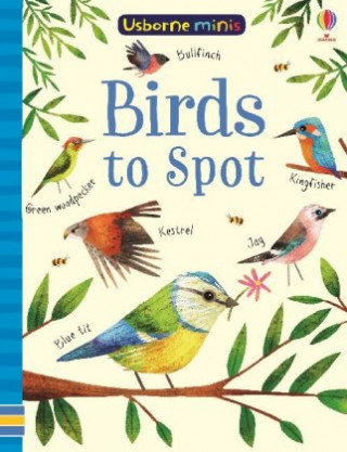 Birds to Spot