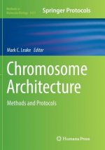 Chromosome Architecture