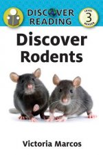 Discover Rodents