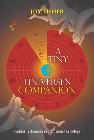 Tiny Universe'S Companion