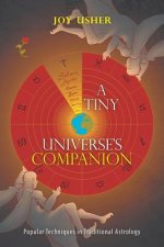 Tiny Universe'S Companion