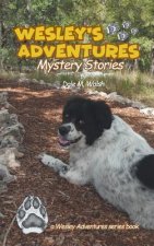 Wesley's Adventures