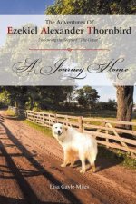 Adventures of Ezekiel Alexander Thornbird